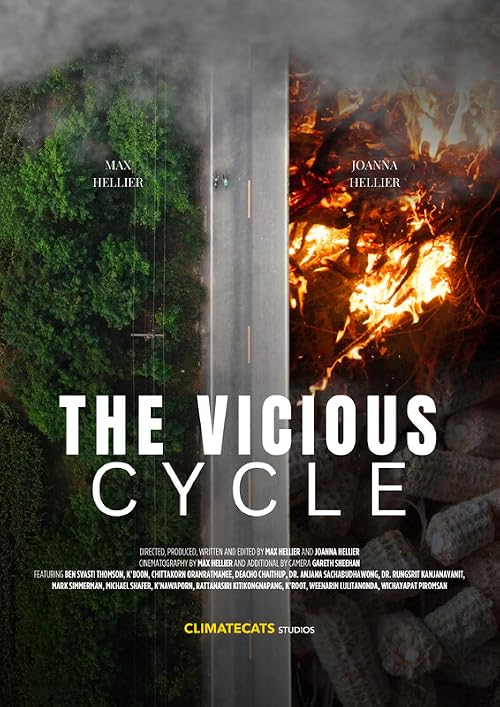 The Vicious Cycle