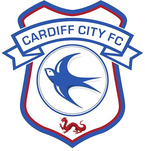 Cardiff City Season Review 2012-2013