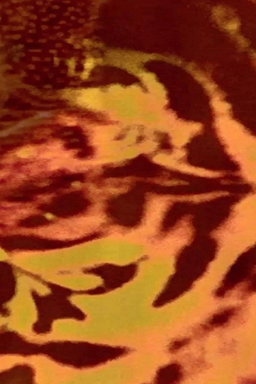Animal Macula