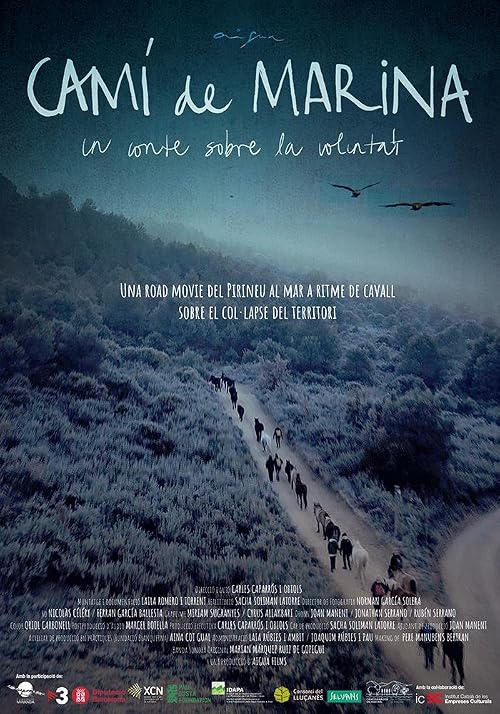 Camí de Marina. Un conte sobre la Voluntat