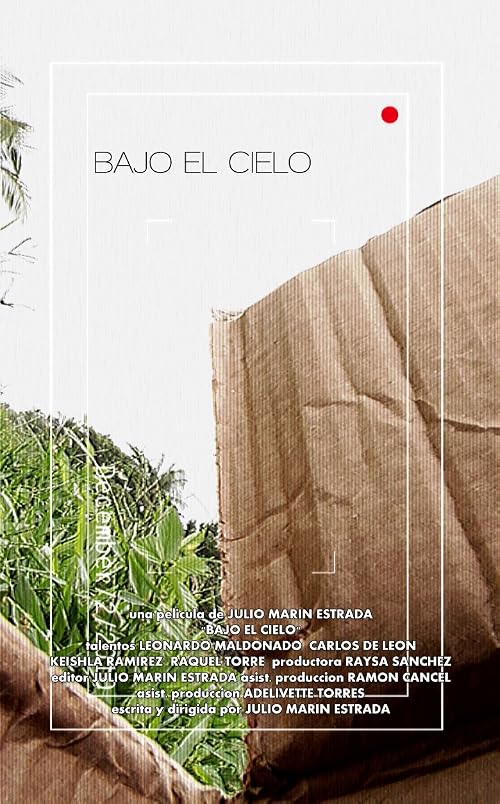 Bajo el Cielo