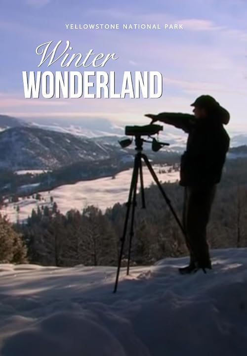 Yellowstone National Park: Winter Wonderland