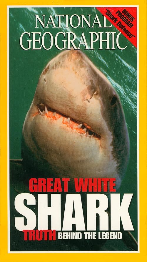Great White Shark: Truth Behind the Legend