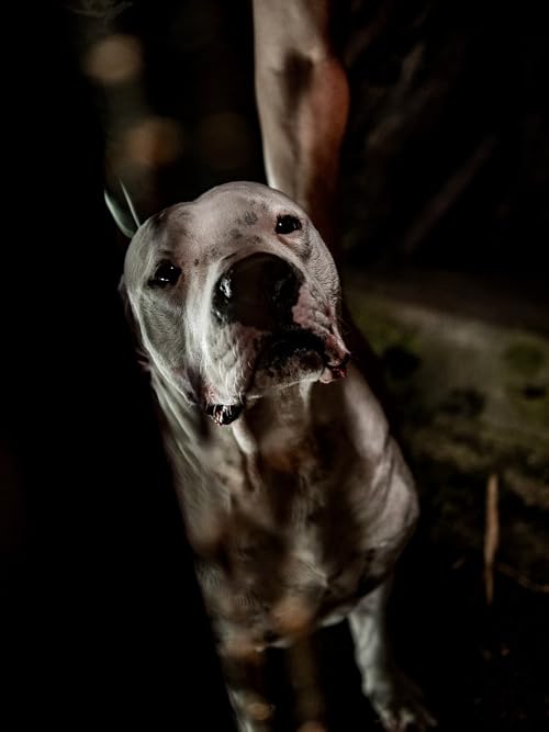 Dogfood- one way to hell