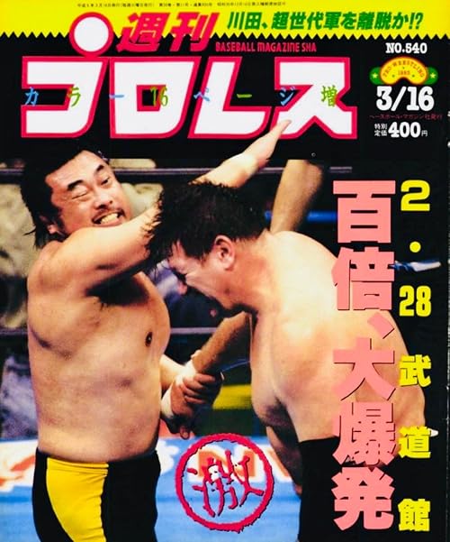 AJPW Excite Series 1993