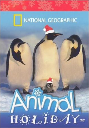 National Geographic's Animal Holiday