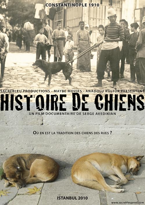 Histoire de chiens