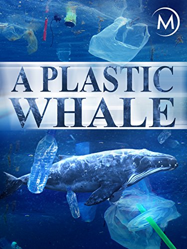 A Plastic Whale