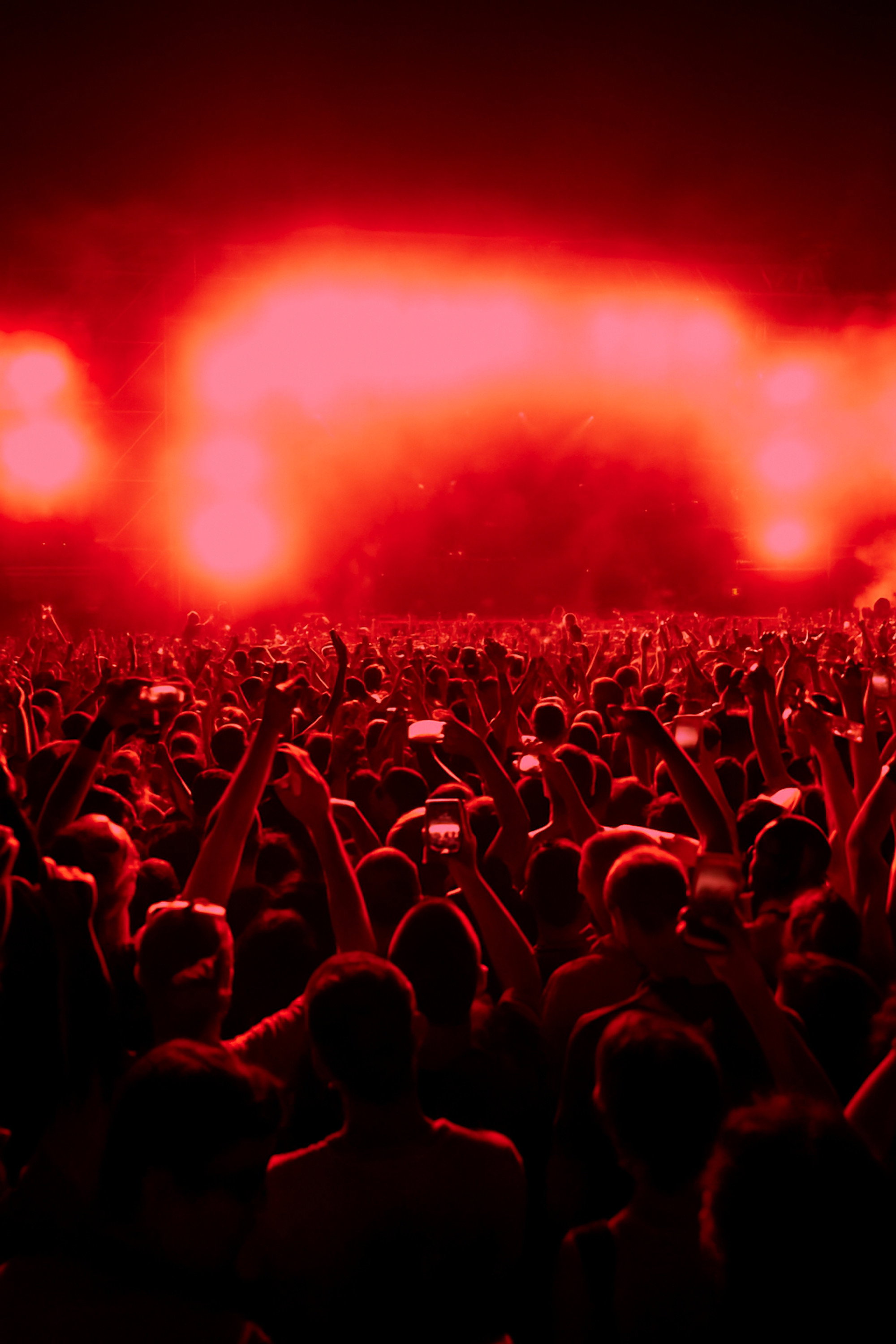 Concert Crush: The Travis Scott Festival Tragedy