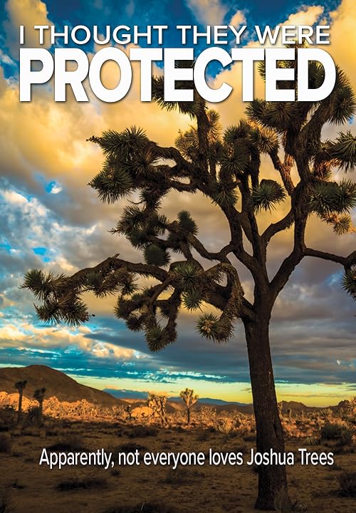 I Thought They Were Protected