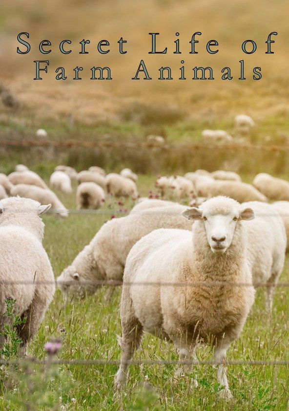 La Vie cachée des animaux de la ferme