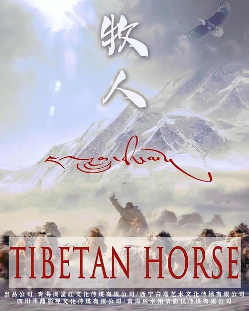 Tibetan Horse