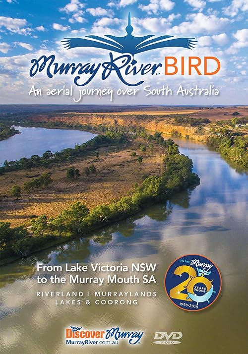 Murray River Bird Over South Australia