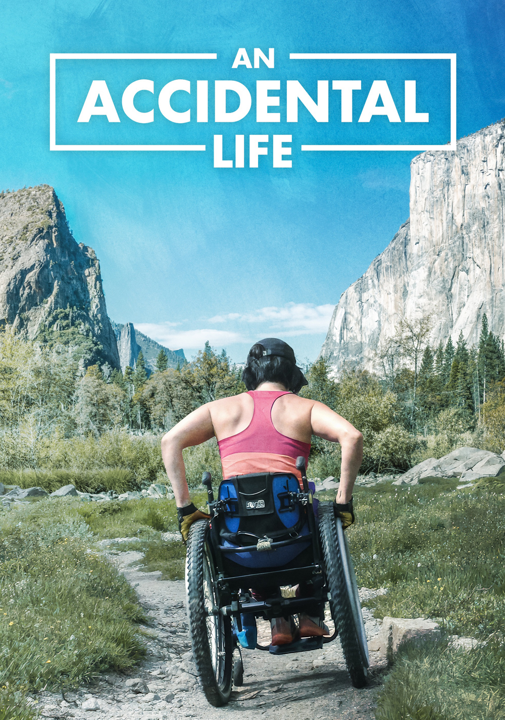 An Accidental Life