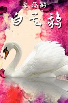 Happiness Swan