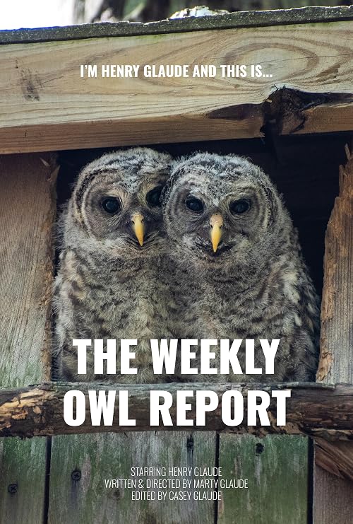 The Weekly Owl Report