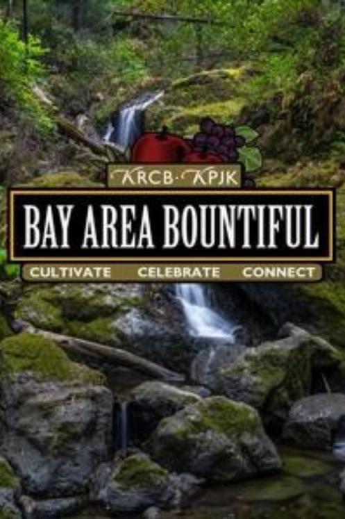 Bay Area Bountiful