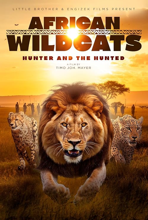 African Wild Cats