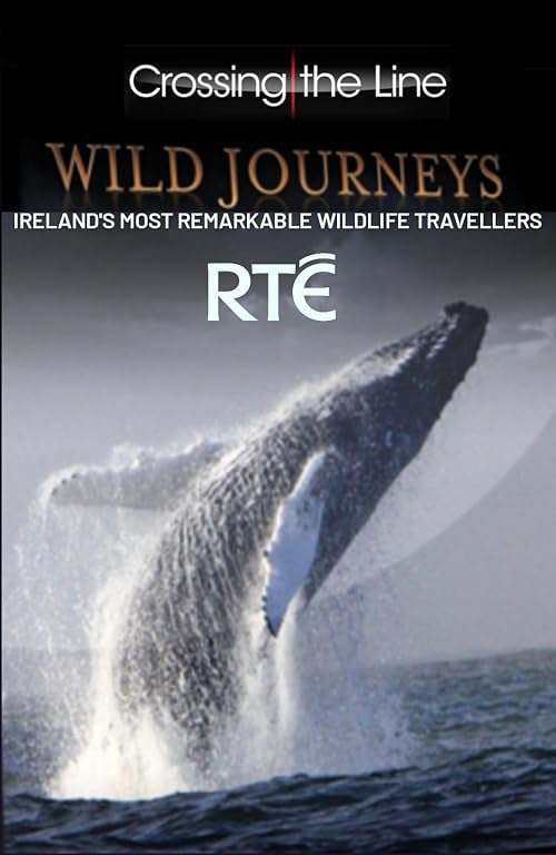 Wild Journeys