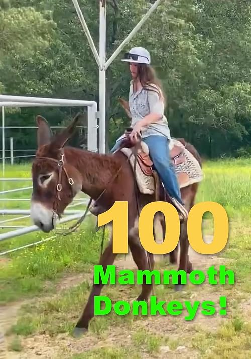 100 Mammoth Donkeys!