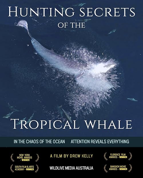 Hunting Secrets of the Tropical Whale