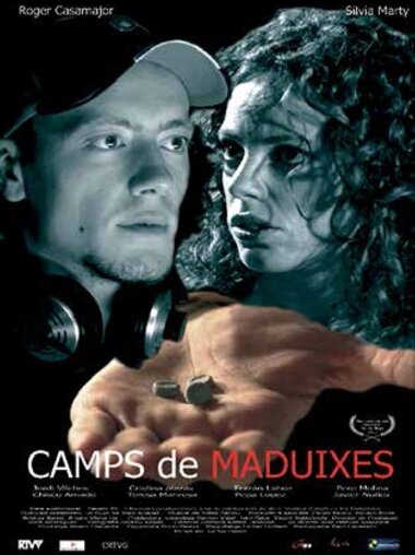 Camps de maduixes