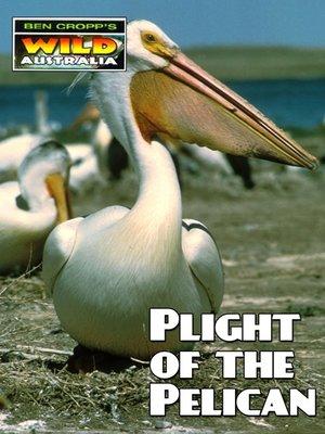 Plight of the Pelican