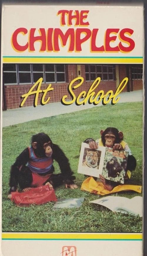 The Chimples at School