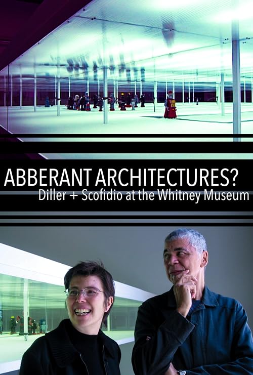 Aberrant Architectures?: Diller + Scofidio at the Whitney Museum