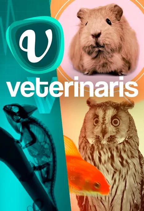 Veterinaris