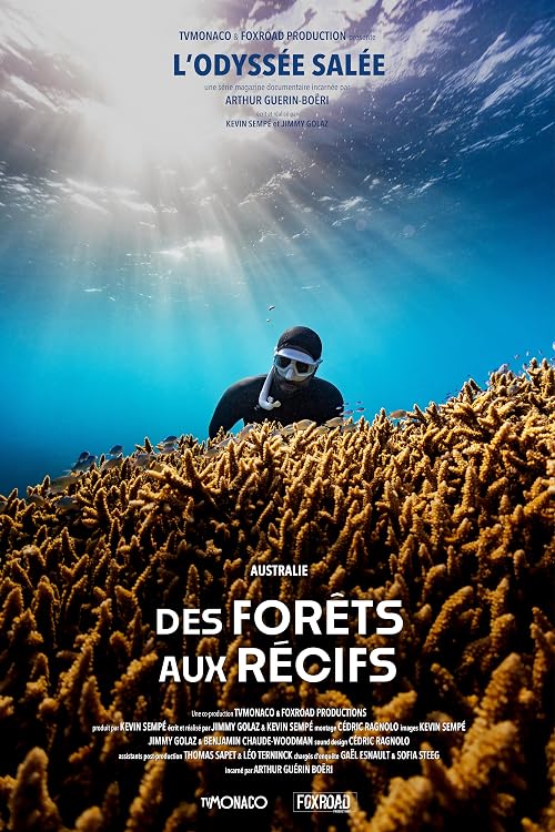 L'Odyssée Salée: Des forêts aux récifs