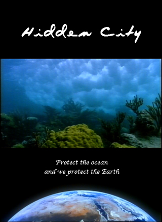 Hidden City