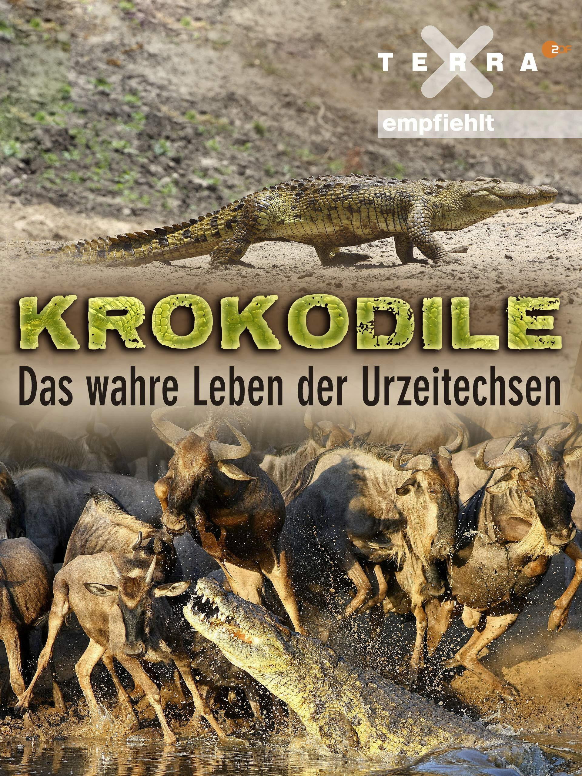 La Vie privée des crocodiles