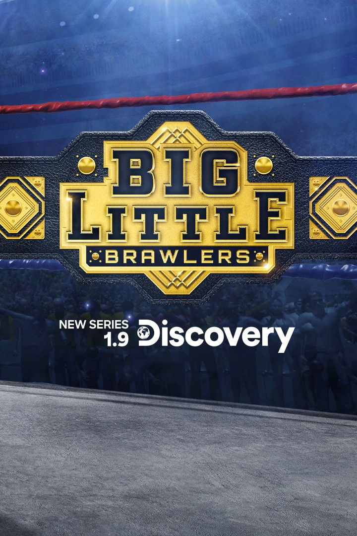 Big Little Brawlers