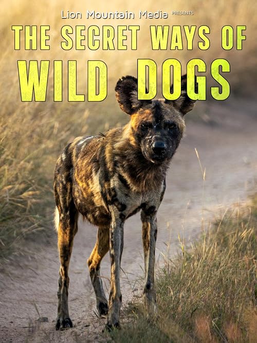 Secret Ways of Wild Dogs
