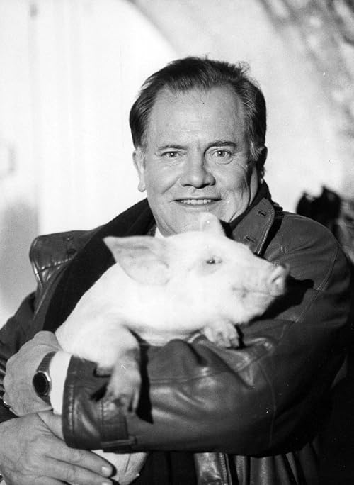 La guerre du cochon