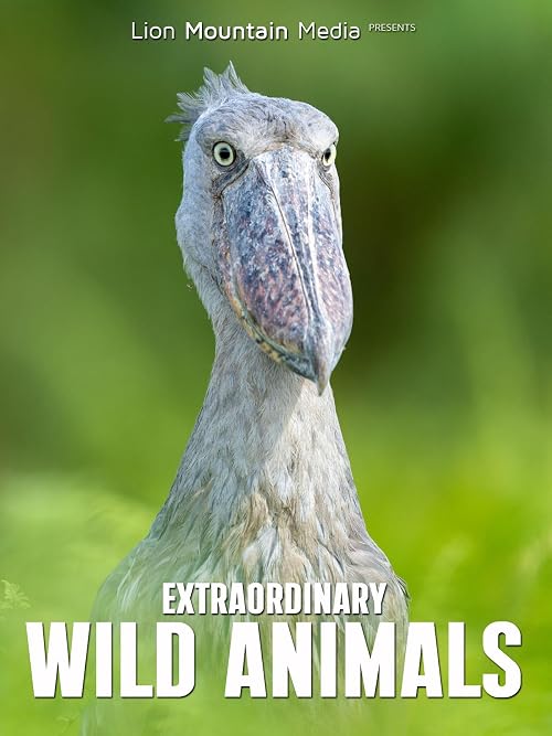 Extraordinary Wild Animals