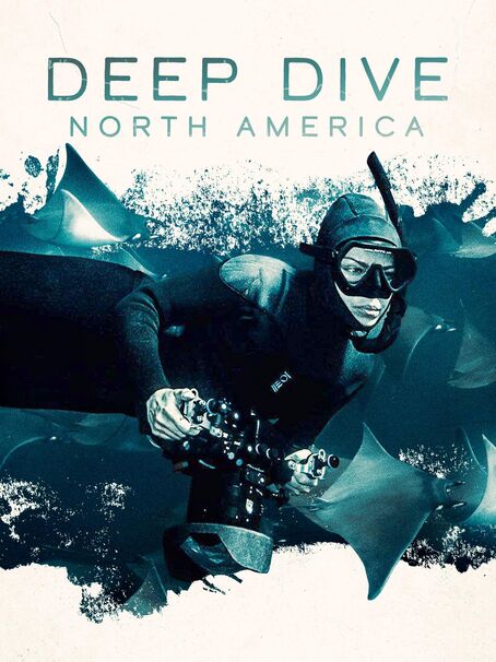 Deep Dive: North America