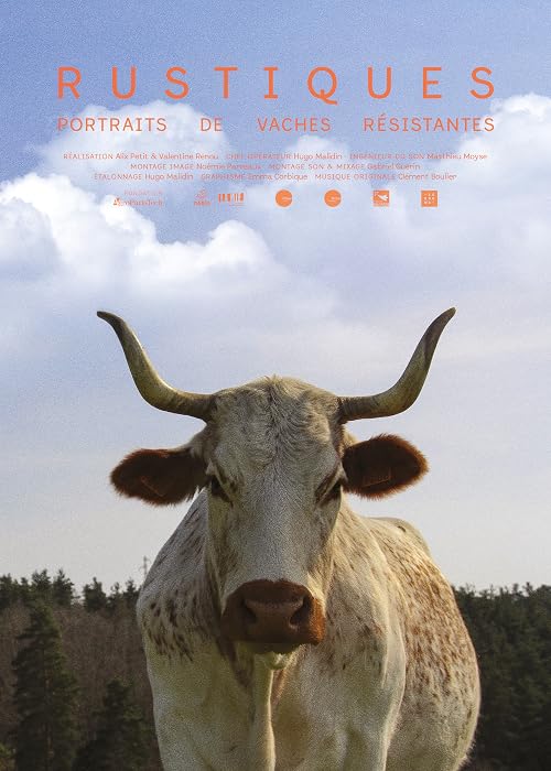 Rustiques, portraits de vaches résistantes