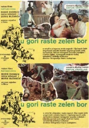 U gori raste zelen bor