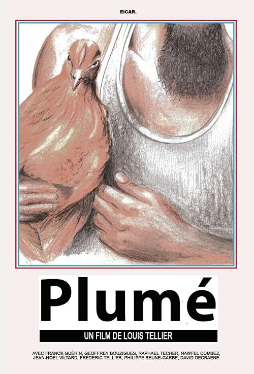 Plumé