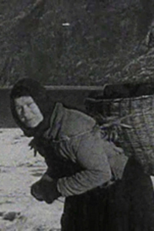 A Crofter's Life in Shetland
