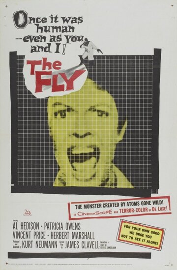 Die Fliege