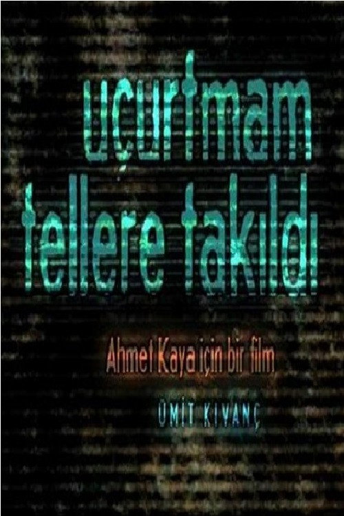 Uçurtmam tellere takildi