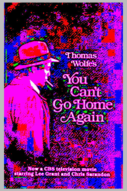 You Can't Go Home Again