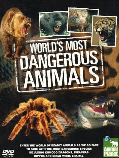 The World's Most Dangerous Animals III