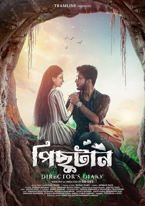 Pichutaan: Director's Diary