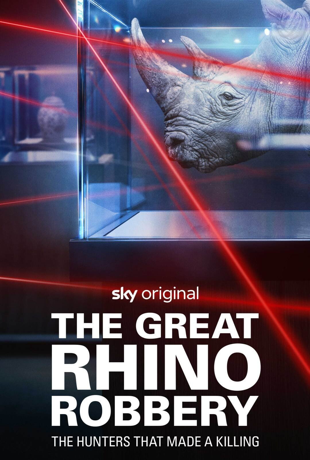 El gran robo de rinocerontes