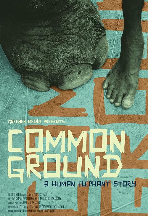 Common Ground