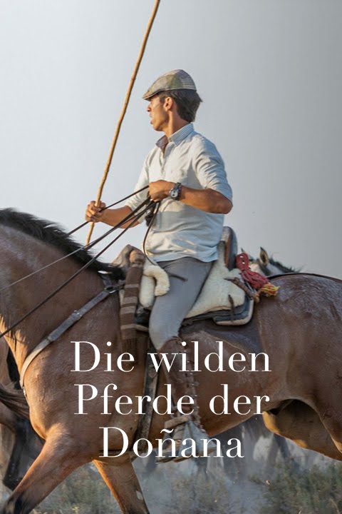 Die wilden Pferde der Doñana